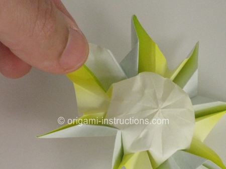 47-origami-daisy